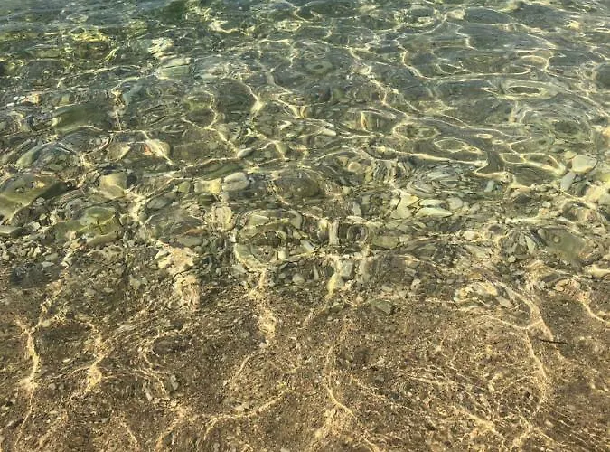 Sunrise 빈예라크