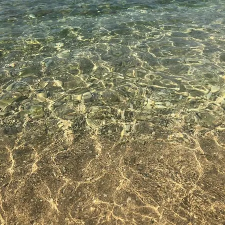 Sunrise ヴィンイェラック